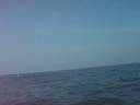 pesca Tecolutla