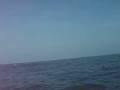 pesca Tecolutla