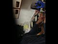 huevosespumosos