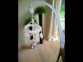 mobiles, boites de musique bebe