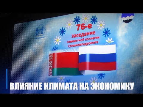 В Гомеле обсудили влияние климата на отрасли экономики видео