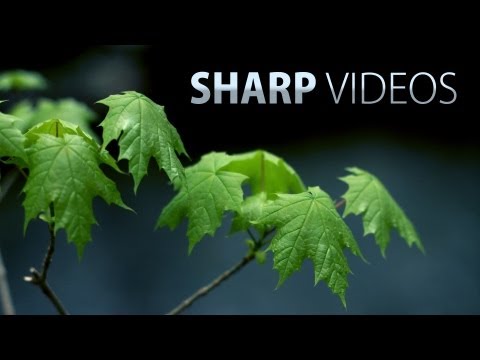 how to use the sharper image u-video camera