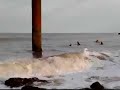 surfin sea palling surfin sea palling