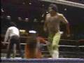 blackjack mulligan vs brutus beefcake