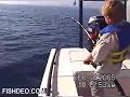 Unbelievable redfish action in Pensacola, Florida!!! Unbelievable redfish action in Pensacola, Florida!!!