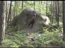 Fontainebleau bouldering - Cannonball (7b) Fontainebleau bouldering - Cannonball (7b)