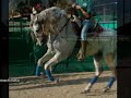 Molinete del Rancho Los Jimenez