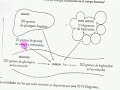sustratos energeticos 1