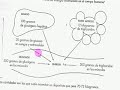 sustratos energeticos 1
