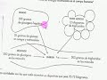 sustratos energeticos 1