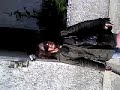 Click here to watch this video EL ALBERGUE MARIA ROJO ME MANDO SALUDOS A MI!!