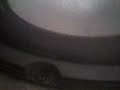 test g?o?nik�w