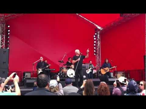 horses grand national