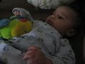 014.AVI
