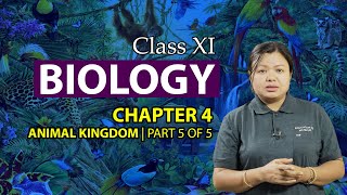 Chapter 4 part 5 of 5 - Animal Kingdom