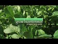 GROW BIOINTENSIVE: A Beginner's Guide -- Episode 1: Introduction GROW BIOINTENSIVE: A Beginner's Guide -- Episode 1: Introduction