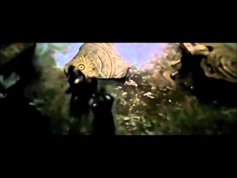 Barbossa
