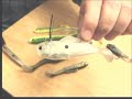 Moe's Tackle Unlimited : Shanghai Swim Bait