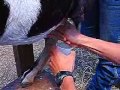 Wild West Adventure (part 1) Wild West Adventure (part 1)