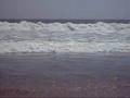 claming beach
