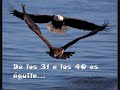 Los animales que los hombres llevamos dentro