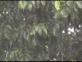 Se esperan lluvias leves para el fin de semana