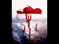 voici ma chanson pr�f�r�e de seth =)