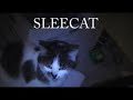 Sleecat Sleecat