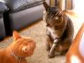 猫バトル