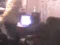 videos de itosn guaymas 4