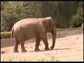 ZOO- WROC?AW POLAND