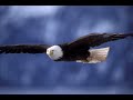so-long-self-mercyme.html