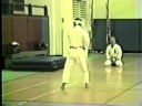 Seisan Kata - 1 of 2 - Angi Uezu - Isshinryu