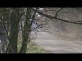 Rally Pongratz Kralovice 2008 - part 1