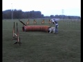 Hondentraining in Cuijk - Germaine en Luitha