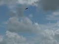 a flight of the black tailed godwit in coloured clouds