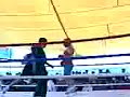 peleas mas falsas  pelean komo niñas