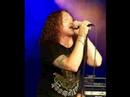 Dave Gleeson Tribute Video Dave Gleeson Tribute Video