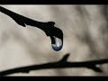 Die Fantastischen Vier - Sommerregen