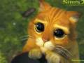 puss in boots cute eyes