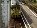 060Da-2186+2332 Lotos Kolej 060Da-2186+2332 Lotos Kolej