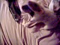 silly rats chase oreo