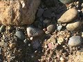 Agate Hunt 2 Agate Hunt 2