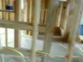 videos de 1756 Chestnut week 9 004.avi