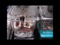 Daytona Reptile Breeders Expo 2009 P1 of
