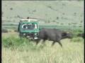 Tanzania Lodges -  Ngorongoro Serena