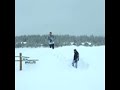 The Flying Mitzelfelt The Flying Mitzelfelt