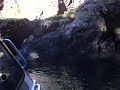 video1.mov Video