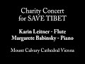 carmen fantasy for flute   piano