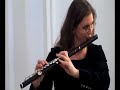 carmen fantasy for flute   piano
